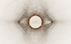 2014 03 25 Brown Diamond 8-white.jpg